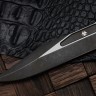 Microtech Knives Combat Troodon Gen III Outbreak Bowie Signature Series 1146-1OBDS