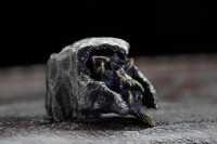 CKF Merzost KapoL Bead