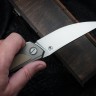 Shirogorov Quantum Ursus Dark Biege (Cromax PM, G10, MRBS)