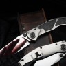 Sokosha-2024 mirror blade, polished Titanium, CF inlays
