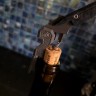 CKF Narzannik wine corkscrew (Ti, CF, M398)