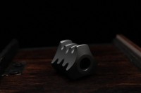 Shirogorov 2023 annual bead (ti)