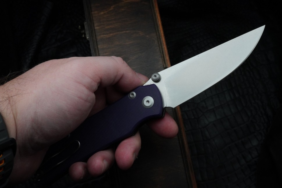 CKF Echo Sim (Elmax, G10)