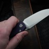 CKF Echo Sim (Elmax, G10)