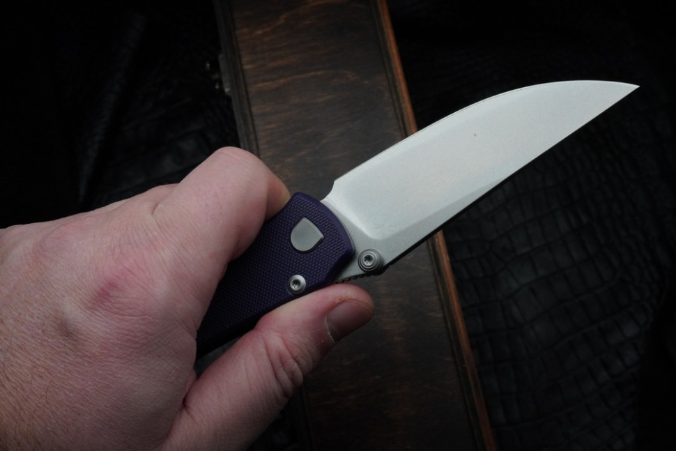 CKF Echo Sim (Elmax, G10)