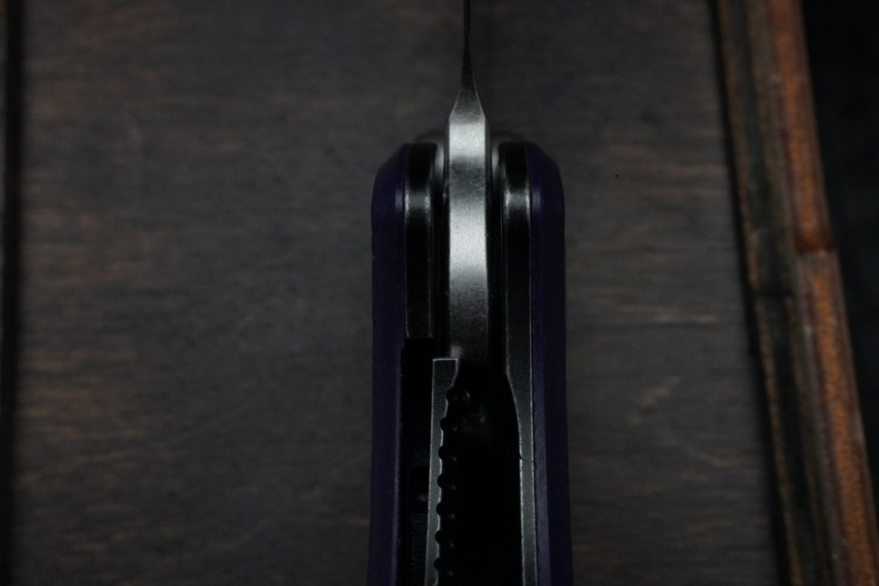 CKF Echo Sim (Elmax, G10)