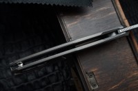 Shirogorov Quantum Ursus Ti (Cromax PM, MRBS)