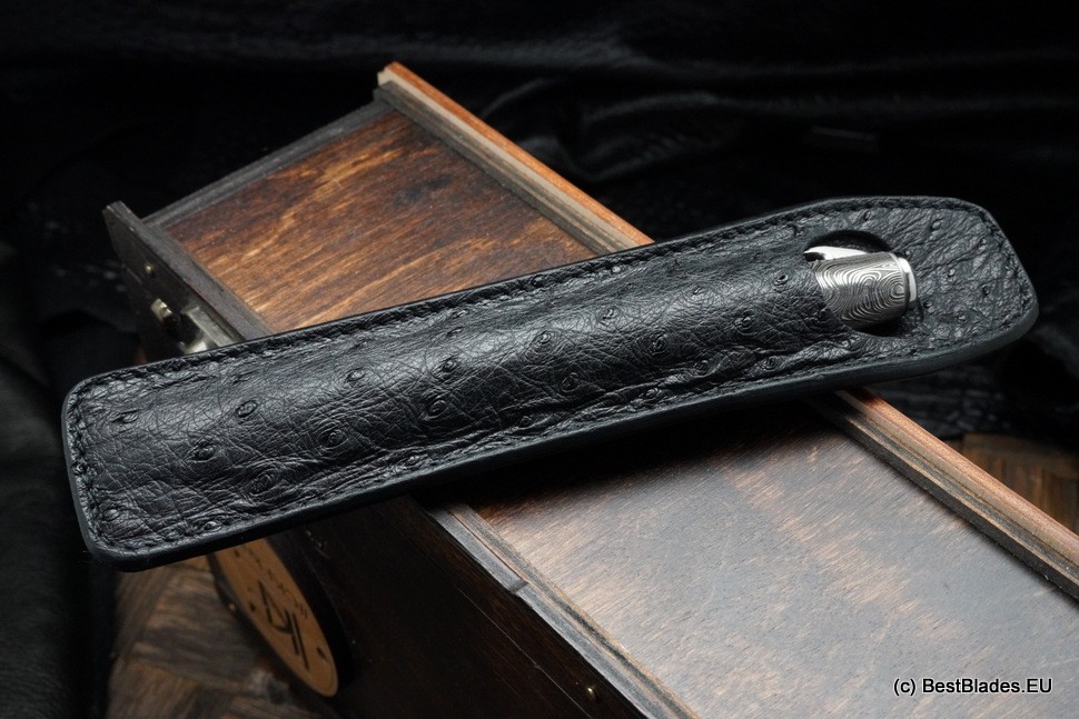 Streltsov luxury titanium pen -Icebreaker Skulls-